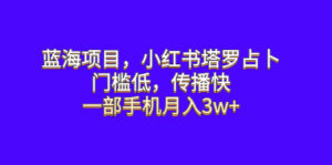 （6427期）蓝海项目，小红书塔罗占卜，门槛低，传播快，一部手机月入3w+-创客云联盟