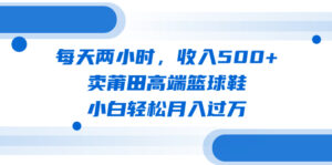 (6437期)每天两小时,收入500+,卖莆田高端篮球鞋,小白轻松月入过万(教程+素材)-创客云联盟