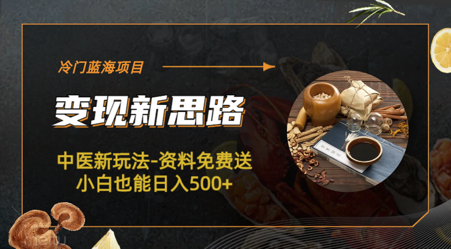 （6452期）冷门蓝海项目-中医新玩法-资料免费送小白也能日入500+-创客云联盟