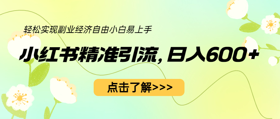 （6515期）小红书精准引流，小白日入600+，轻松实现副业经济自由（教程+1153G资源）-创客云联盟