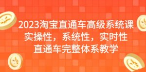 (6535期)2023淘宝直通车高级系统课,实操性,系统性,实时性,直通车完整体系教学-创客云联盟