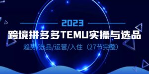 （6550期）2023跨境·拼多多·TEMU实操与选品，趋势·选品·运营·入住（27节完整）-创客云联盟