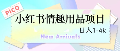 （6555期）最新小红书情趣用品项目，日入1-4k-创客云联盟