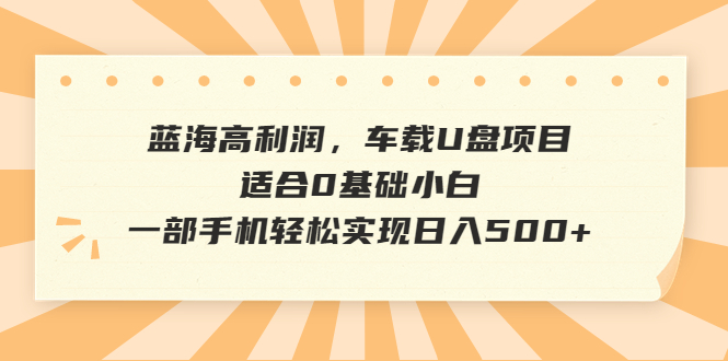（6600期）蓝海高利润，车载U盘项目，适合0基础小白，一部手机轻松实现日入500+-创客云联盟