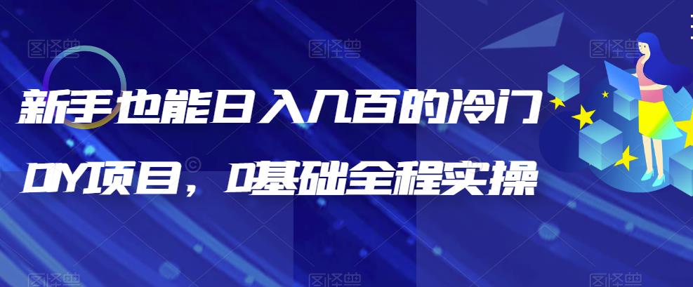 （6630期）新手也能日入几百的冷门DIY项目，0基础全程实操【揭秘】-创客云联盟