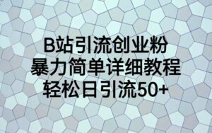 （6639期）B站引流创业粉，暴力简单详细教程，轻松日引流50+-创客云联盟