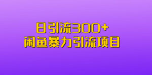 （6694期）日引流300+闲鱼暴力引流项目-创客云联盟