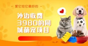 (6744期)同城萌宠项目,用最冷门的玩法冲击最热门的市场(教程+素材)-创客云联盟