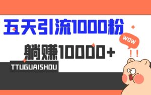 （6745期）5天引流1000+，赚了1w+-创客云联盟