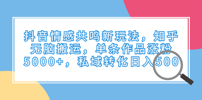 （6758期）抖音情感共鸣新玩法，知乎无脑搬运，单条作品涨粉5000+，私域转化日入500-创客云联盟