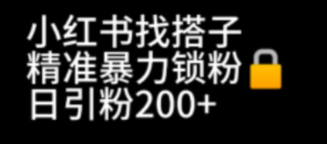 （6807期）小红书找搭子暴力精准锁粉+引流日引200+精准粉-创客云联盟