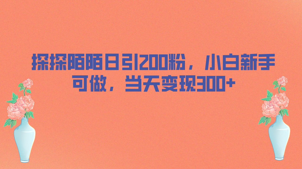 （6817期）探探陌陌日引200粉，小白新手可做，当天就能变现300+-创客云联盟