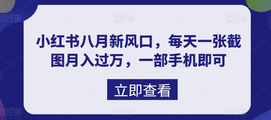 （6851期）八月新风口，小红书虚拟项目一天收入1000+，实战揭秘-创客云联盟