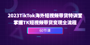 （6890期）2023-TikTok海外短视频带货特训营，掌握TK短视频带货变现全流程（60节课）-创客云联盟