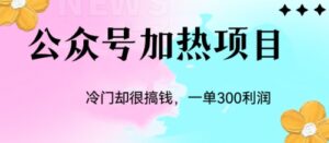 （6916期）冷门公众号加热项目，一单利润300+-创客云联盟