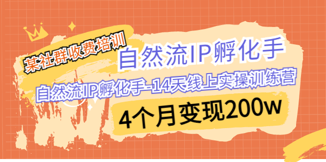 （6924期）某社群收费培训：自然流IP 孵化手-14天线上实操训练营 4个月变现200w-创客云联盟