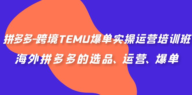 （6934期）拼多多-跨境TEMU爆单实操运营培训班，海外拼多多的选品、运营、爆单-创客云联盟