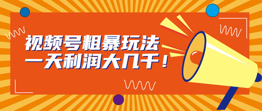 （6941期）视频号粗暴玩法，一天利润大几千！-创客云联盟