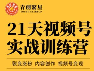 张萌21天视频号实战训练营，裂变涨粉、内容创作、视频号变现 价值298元-创客云联盟