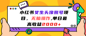 （7036期）小红书女生头像账号项目，无脑操作“”单日最高收益2000+-创客云联盟