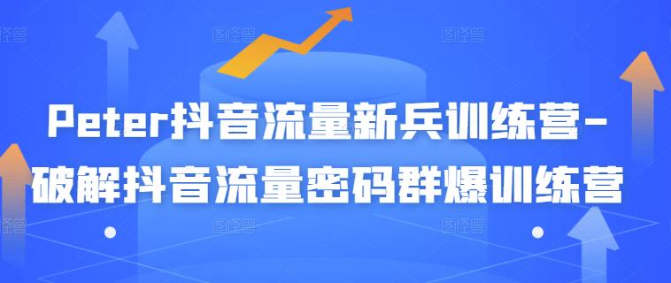 Peter抖音流量新兵训练营-破解抖音流量密码群爆训练营（新兵）-创客云联盟