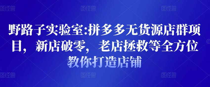 野路子实验室:拼多多无货源店群项目，新店破零，老店拯救等全方位教你打造店铺-创客云联盟