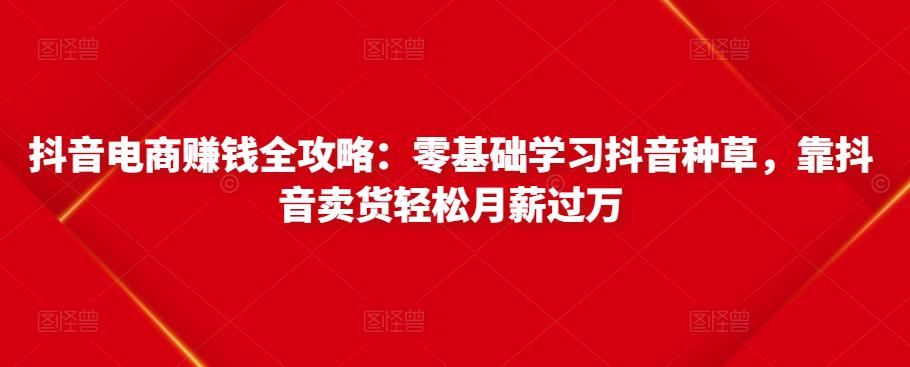 抖音电商赚钱全攻略：零基础学习抖音种草，靠抖音卖货轻松月薪过万-创客云联盟
