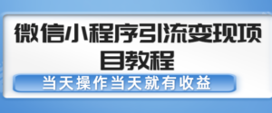 微信小程序引流变现项目教程,当天操作当天就有收益,变现不再是难事-创客云联盟