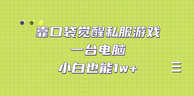 （7113期）靠口袋觉醒私服游戏，一台电脑，小白也能1w+（教程+工具+资料）-创客云联盟