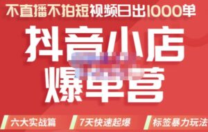 推易电商·2022年抖音小店爆单营，不直播、不拍短视频、日出1000单，暴力玩法-创客云联盟