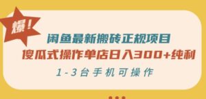闲鱼最新搬砖正规项目：傻瓜式操作单店日入300+纯利，1-3台手机可操作-创客云联盟