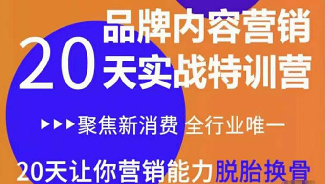 《内容营销实操特训营》20天让你营销能力脱胎换骨（价值3999）-创客云联盟