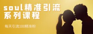 soul精准引流系列课程,每天引流100精准粉-创客云联盟