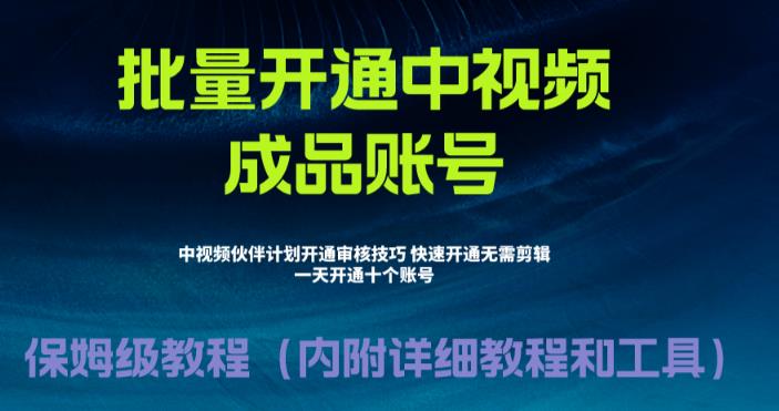 [新自媒体]外面收费1980暴力开通中视频计划教程，附 快速通过中视频伙伴计划的办法-创客云联盟