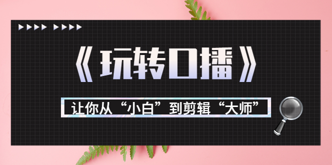 月营业额700万+大佬教您《玩转口播》让你从“小白”到剪辑“大师”-创客云联盟