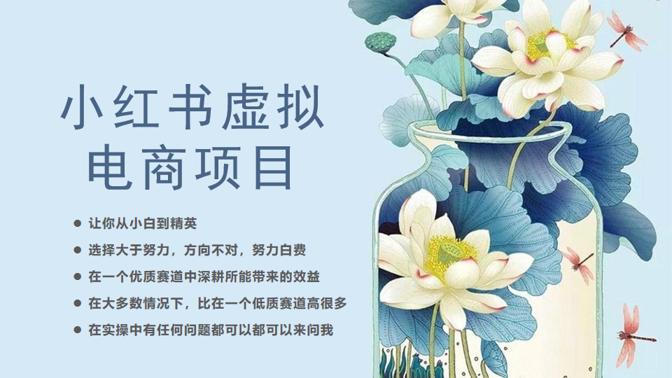 [小红书]小红书虚拟电商从0到1小白到精英（20节实操课程）-创客云联盟