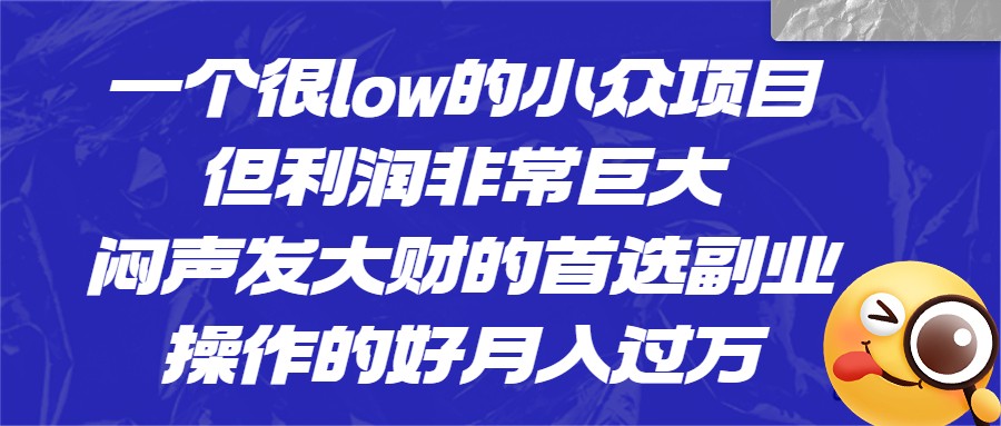 [抖音快手]一个很low的小众项目，但利润非常巨大，闷声发大财的首选副业，操作的好月入过万-创客云联盟