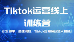 Tiktok运营线上训练营，引流爆单，急速涨粉，Tiktok短视频玩法大揭秘！-创客云联盟