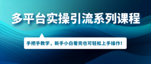 （7170期）多平台实操引流系列课程，手把手教学，新手小白看完也可轻松上手引流操作！-创客云联盟