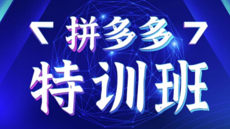 星雪教育·拼多多基础班+进阶班+突破班，用系统的学习模式快速改变现状价值3580元-创客云联盟