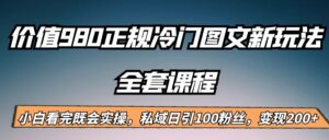 外面卖980的正规冷门图文新玩法，私域日引100粉丝，变现200+-创客云联盟