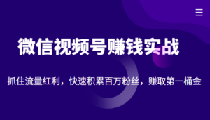 微信视频号赚钱实战:抓住流量红利,快速积累百万粉丝,赚取你的第一桶金-创客云联盟