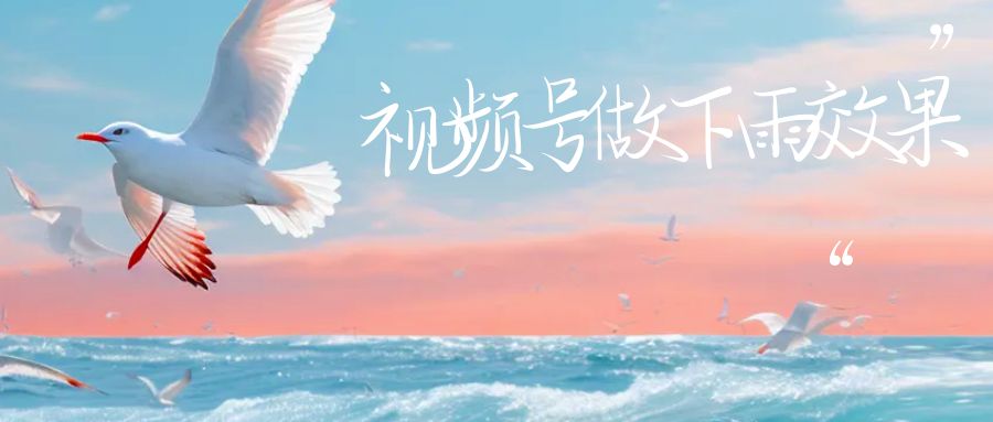 视频号做下雨视频，一个账号一周涨粉10W+，日入1000+附保姆级教程-创客云联盟
