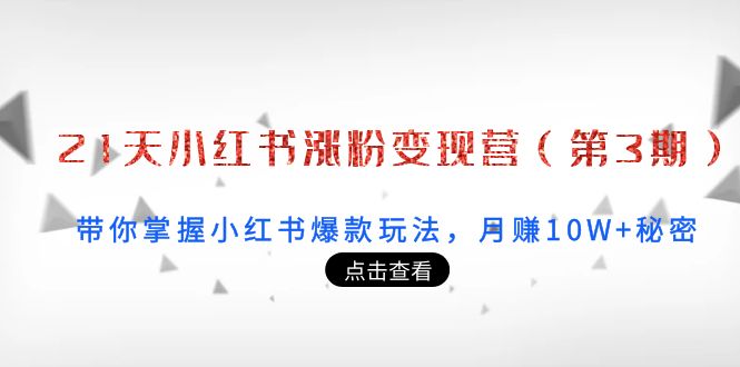 21天小红书涨粉变现营（第3期）：带你掌握小红书爆款玩法，月赚10W+秘密-创客云联盟