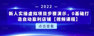新人实操虚拟项目步骤演示,0基础打造自动盈利店铺【视频课程】-创客云联盟