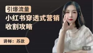 苏歆：小红书穿透式营销收割攻略，引爆流量，助你玩转小红书-创客云联盟