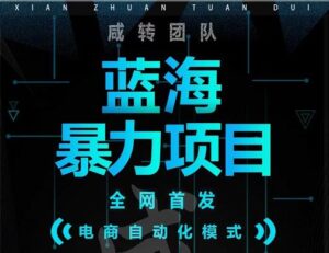 引流哥蓝海暴力躺赚项目：无需发圈无需引流无需售后，每单赚50-500（教程+线报群)-创客云联盟
