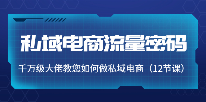私域电商流量密码：千万级大佬教您如何做私域电商（12节课）-创客云联盟