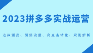 2023拼多多实战运营，选款测品、引爆流量、高点击转化、规则解析-创客云联盟
