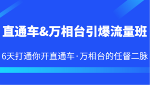 直通车&万相台引爆流量班 6天打通你开直通车·万相台的任督二脉-创客云联盟